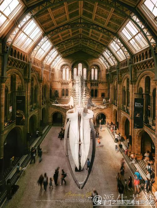 绿茵殿堂:探索建筑美学 绿茵殿堂:探索建筑美学